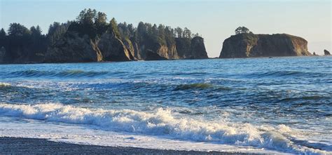 Image result for Small Rectangular Plate
