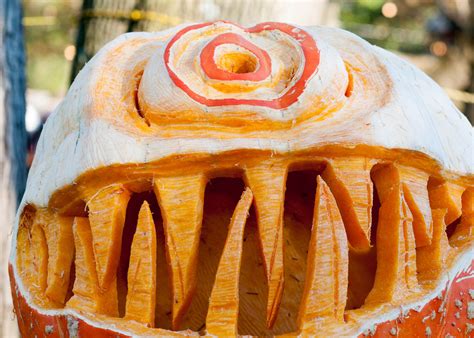 Pumpkin Festivals 2024 (35+ in the U.S. & Beyond)