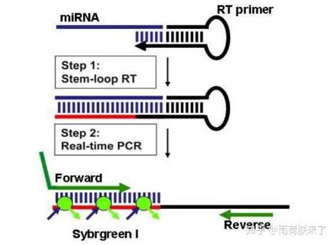 多重PCR引物设计示范_生物技术创新创业-韩健_新浪博客