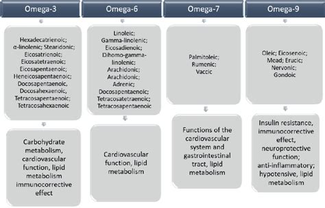 Image result for Omega Classification System