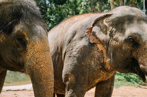 Safari Desktop 的图像结果