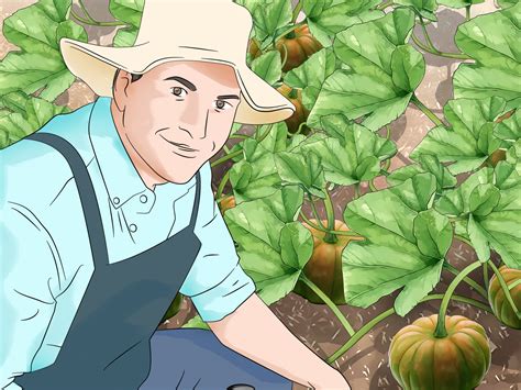 How to Become a Farmer Without Experience: 14 Steps