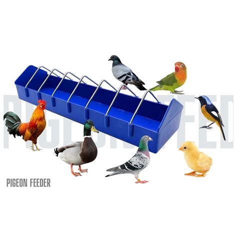Buy Pigeon Feeder,2pcs Birds Poultry Chicken Duck Parrots Large Feeder ...