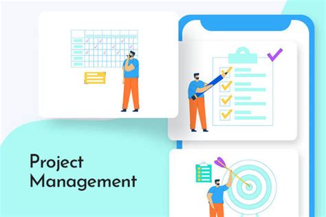 Image result for Advisory Role Project Manager
