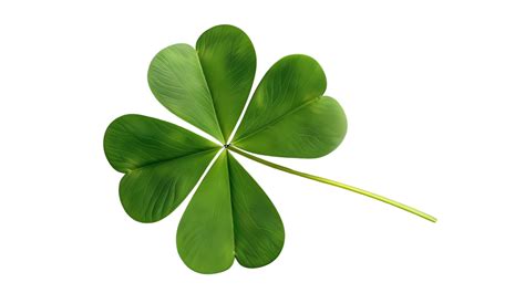 Four Leaf Clover Illustration on transparent Background 49106300 PNG