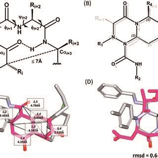 Image result for Beta Turn Structure