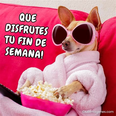 16 imágenes de fin de semana que motivan y alegran la vida - Club Imágenes