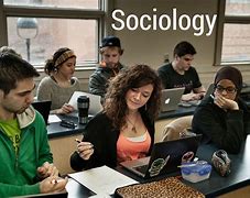 Image result for sociology