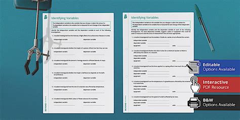 Independent and Dependent Variables Science Sheet | Beyond