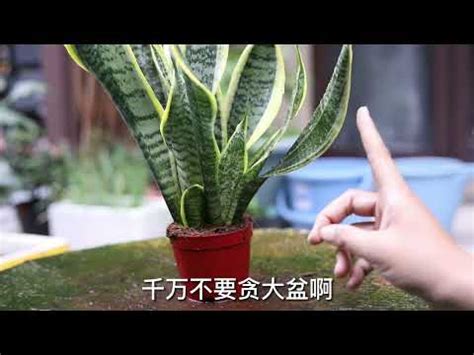 Image result for Computer Blank Window Frame