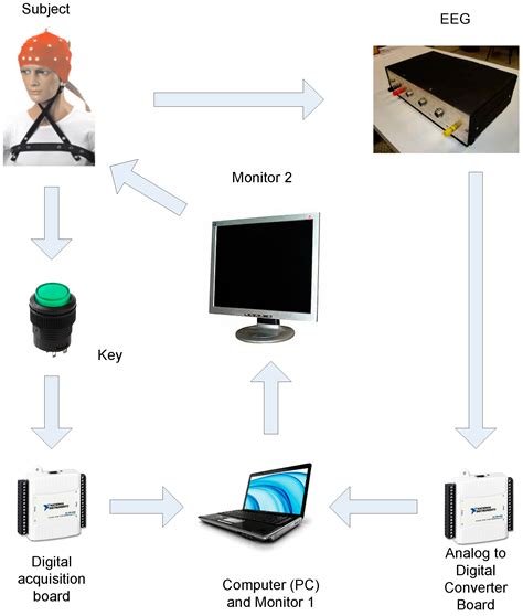 Executed Movement Using EEG Signals through a Naive Bayes Classifier