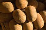 6 fruits that naturally taste like dessert | The Times of India