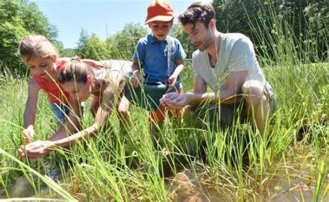 Image result for Spring Science Activities