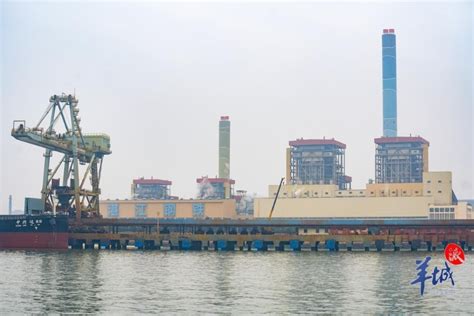 在中国第五大岛，看绿色钢铁如何炼成｜高质量发展看广东 - 国内新闻 - 陕西网