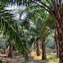 Best Top Rated Water park in Devarapalli, Andhra Pradesh, India | Yappe.in