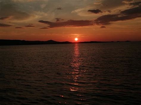 Pro Eko (Biograd na Moru) - What to Know BEFORE You Go