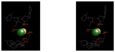 Understanding the Thermodynamics of Magnesium Binding to RNA Structural ...