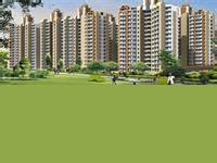 JM Florance - Noida Extension, Greater Noida - Apartment / Flat Project ...
