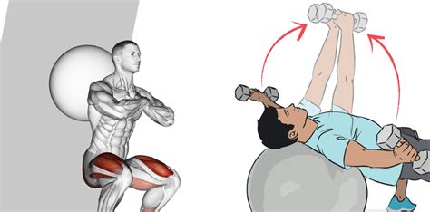 Image result for Stability Ball Back Exercises