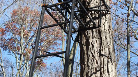 Image result for Muddy Partner Tree Stand Set Up