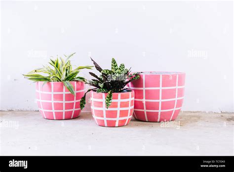 Image result for Creative Flower Pots
