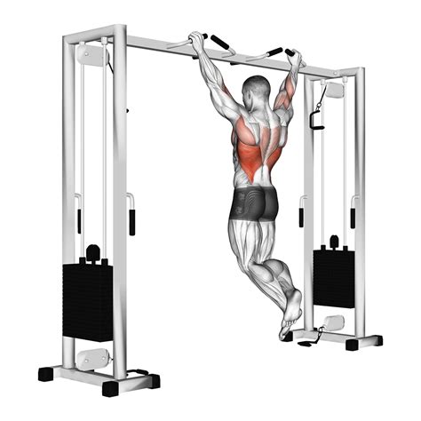 Image result for Pull Up Variations