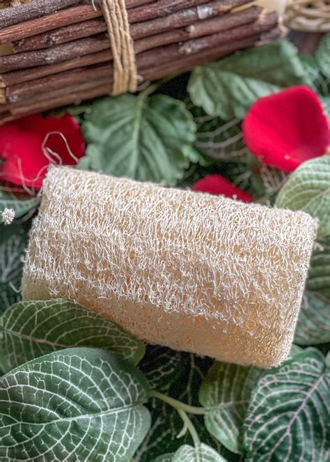 Get Raw Egyptian Bath Loofah at ₹ 199 | LBB Shop