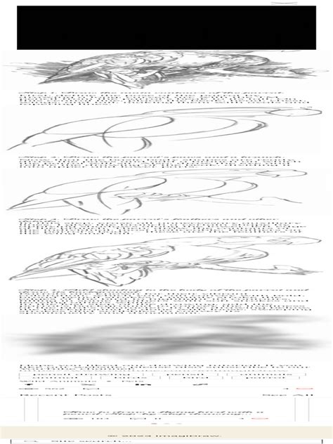 Image result for How Do You Draw a Parrot