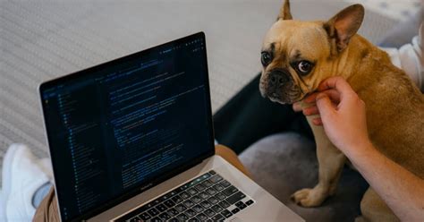 Software Engineering Models 的图像结果