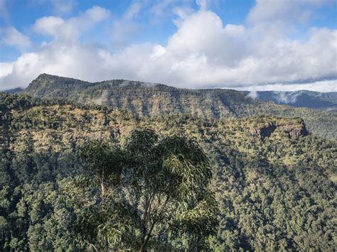 Rock Python 的图像结果