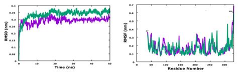 3D-QSAR Studies, Molecular Docking, Molecular Dynamic Simulation, and ...