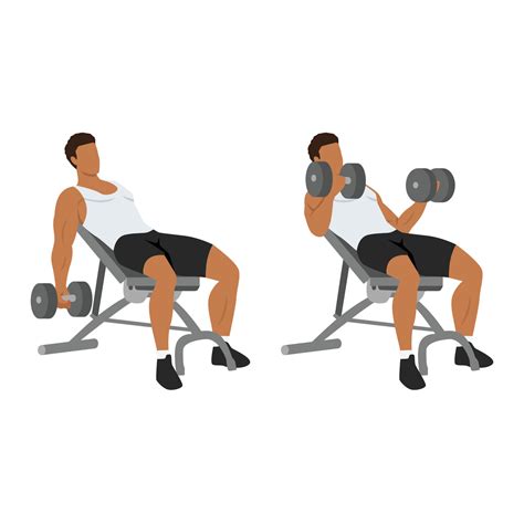 Man doing incline dumbbell curl. Flat vector illustration isolated on ...
