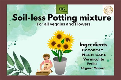 Elamgreen Soil Less Potting Mixture - Cocopeat, Vermiculite, Neem Khad ...