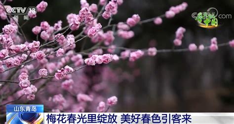 春天里的中国有多美，这部纪录片带你看大美中国_新疆_重庆_观众