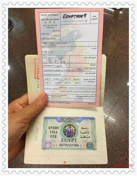 埃及出入境,埃及签证, 埃及护照 ,埃及自助游攻略 - 马蜂窝