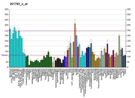 Image result for Rela Flow