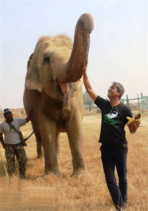 'Life of Pi' actor Adil Hussain visits Wildlife SOS elephant care ...