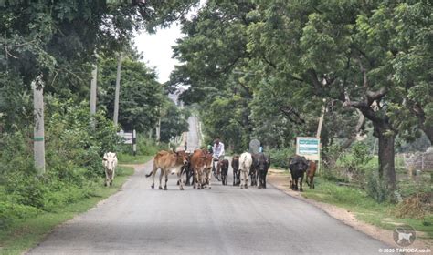 Hyderabad to Hampi Road Trip Route