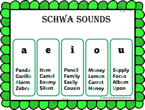 What Is The Schwa Sound And How To Teach It in 2025 | Schwa, How to spell words, Reading anchor ...