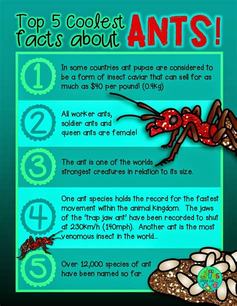 What Are Interesting Facts About Insects at Linda Moulton blog