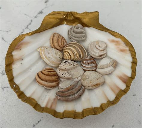 Top 20 most frequently asked questions about Pawleys Island answered ...