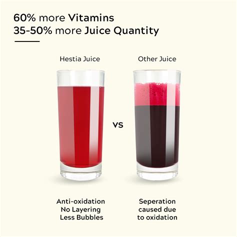 Buy Renewed Nutri-Max Cold Press Juicer (Wine Red) | Hestia