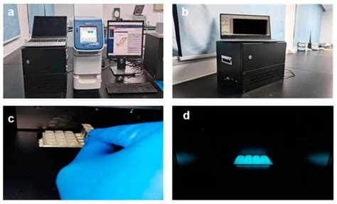 Biosensors | Special Issue : Advances in Amplification Methods for ...