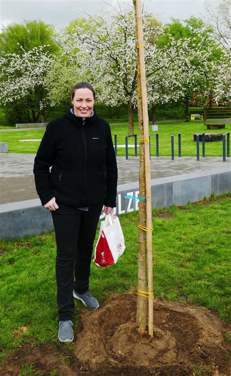 Neue Bäume im Bürgerpark Maria Lindenhof - Dorsten.live!