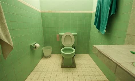 Cary Gastroenterology Associates | What Does Green Poop Color Mean?