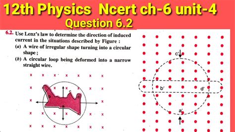 Lenz Law 的图像结果
