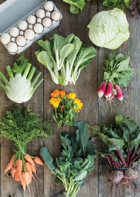 Eating Organically Grown Food 的图像结果