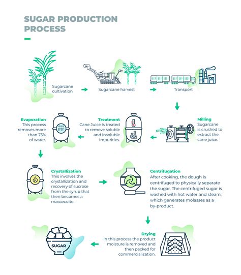 Sugar Cane Juice Making Process at Edward Criss blog