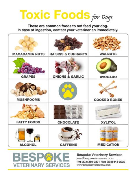 Toxic Foods for Dogs - Bespoke Veterinary Services