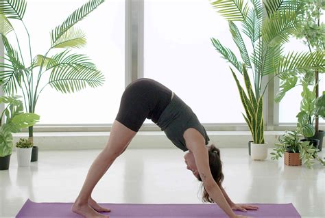 Yoga Sequences